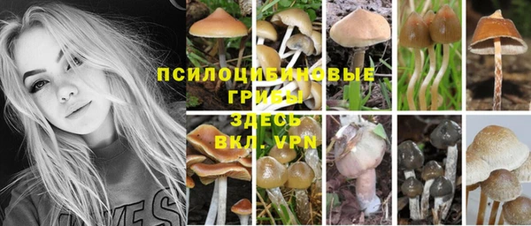 гашиш Алзамай