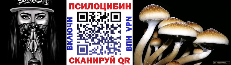 Псилоцибиновые грибы Magic Shrooms Калтан
