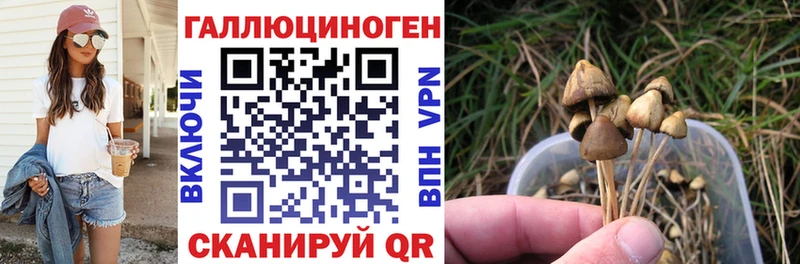 где купить наркотик  Калтан  Псилоцибиновые грибы мицелий 